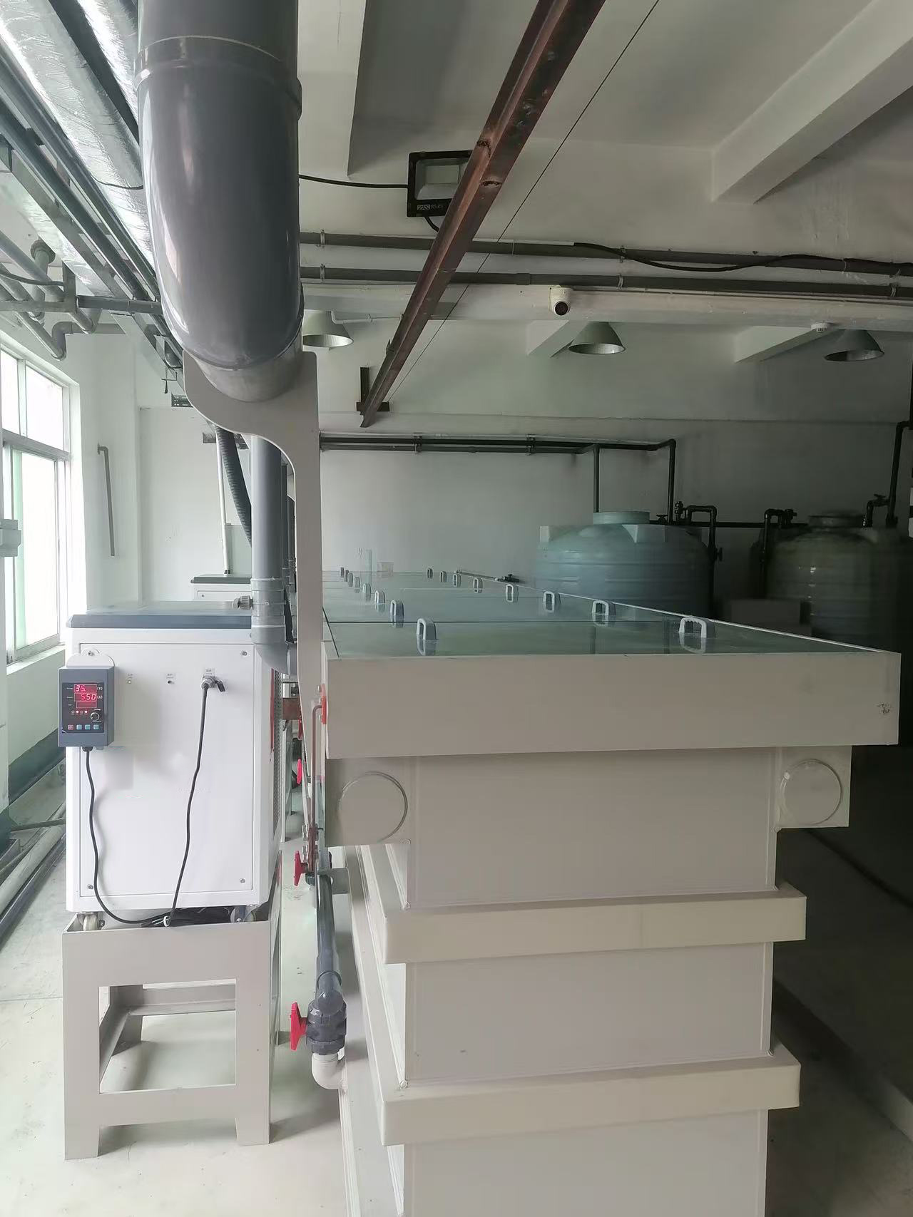 étain électrolytique